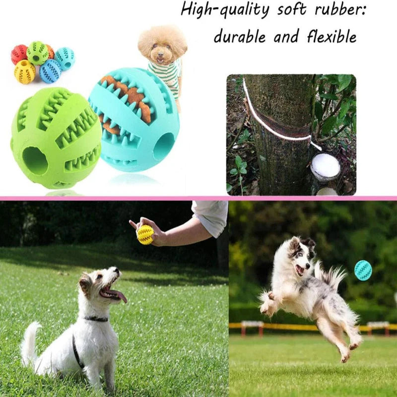 Interactive Rubber Dog Toy Ball – Chew & Treat Dispenser for Dogs and Puppies, Teeth Cleaning Play Ball